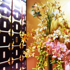 大阪府守口市の「本性寺」は供養に期限はありません